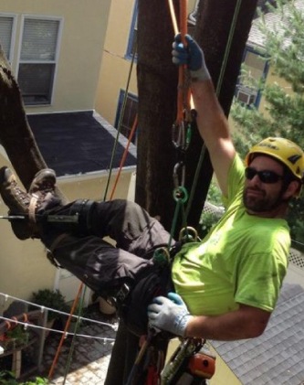 tree services canberra